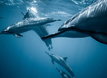 体坛短频快｜国安新帅新总经理首次亮相